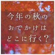 今年の秋はどこに行く？